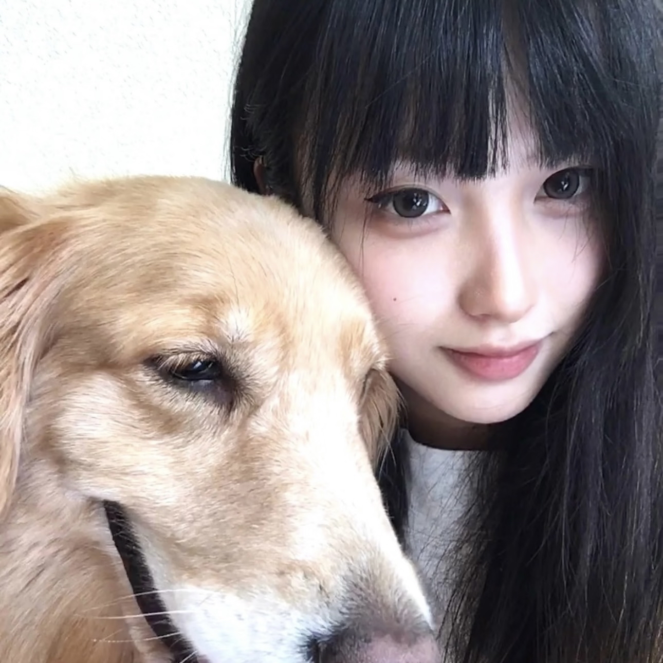 images/landing-pages description